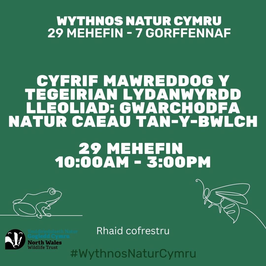 Cyfrif Mawreddog y Tegeirian Lydanwyrdd